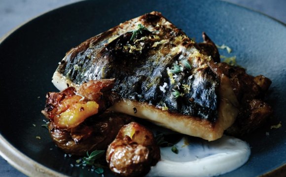 Healthy Quick fish Recipes