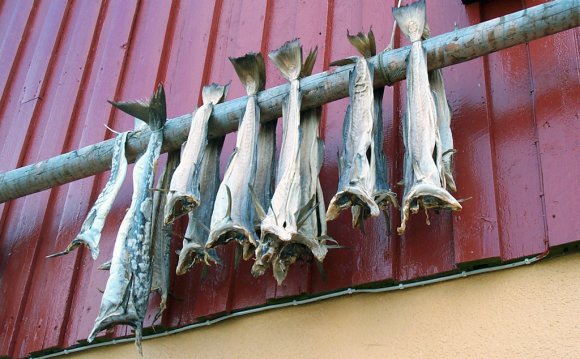 Dried salted fish recipe